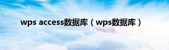 wps access數(shù)據(jù)庫（wps數(shù)據(jù)庫）