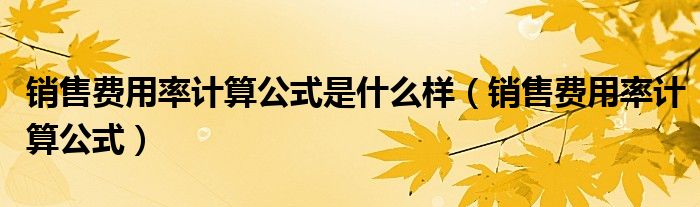 銷售費用率計算公式是什么樣（銷售費用率計算公式）