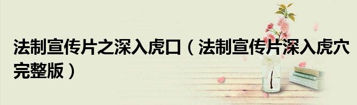 法制宣傳片之深入虎口（法制宣傳片深入虎穴完整版）
