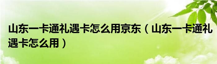 山東一卡通禮遇卡怎么用京東（山東一卡通禮遇卡怎么用）