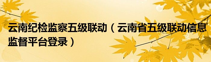 云南紀(jì)檢監(jiān)察五級(jí)聯(lián)動(dòng)（云南省五級(jí)聯(lián)動(dòng)信息監(jiān)督平臺(tái)登錄）