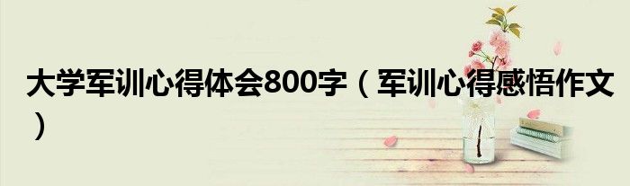 大學(xué)軍訓(xùn)心得體會(huì)800字（軍訓(xùn)心得感悟作文）