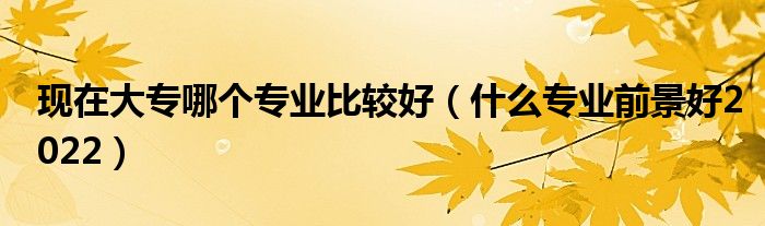 現(xiàn)在大專哪個專業(yè)比較好（什么專業(yè)前景好2022）