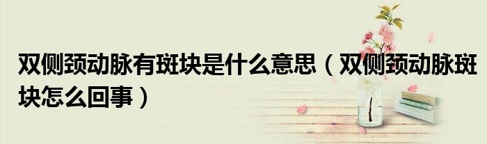 雙側(cè)頸動脈有斑塊是什么意思（雙側(cè)頸動脈斑塊怎么回事）