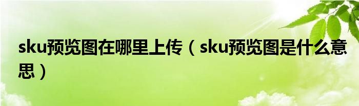 sku預(yù)覽圖在哪里上傳（sku預(yù)覽圖是什么意思）