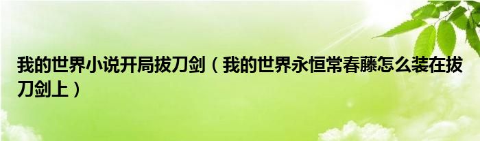 我的世界小說(shuō)開(kāi)局拔刀劍（我的世界永恒常春藤怎么裝在拔刀劍上）