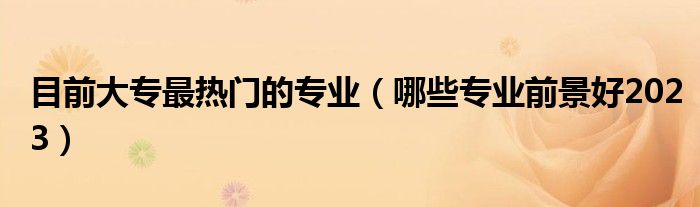 目前大專最熱門的專業(yè)（哪些專業(yè)前景好2023）