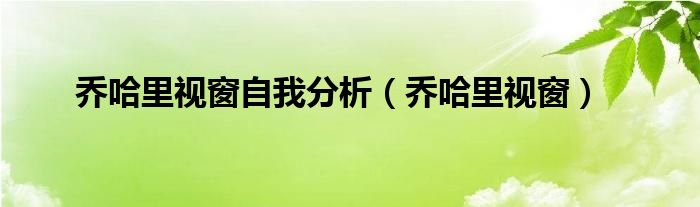 喬哈里視窗自我分析（喬哈里視窗）