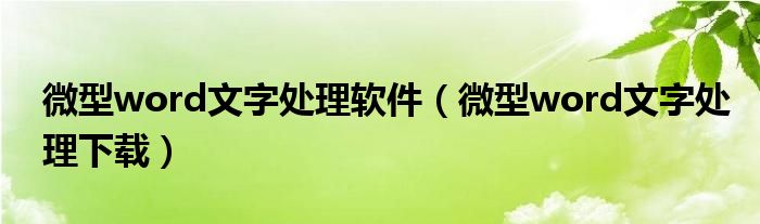 微型word文字處理軟件（微型word文字處理下載）