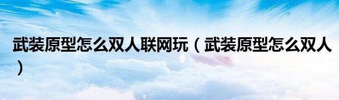 武裝原型怎么雙人聯(lián)網(wǎng)玩（武裝原型怎么雙人）
