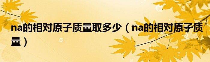 na的相對原子質(zhì)量取多少（na的相對原子質(zhì)量）