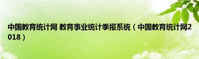 中國教育統(tǒng)計網(wǎng) 教育事業(yè)統(tǒng)計季報系統(tǒng)（中國教育統(tǒng)計網(wǎng)2018）