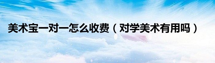 美術(shù)寶一對(duì)一怎么收費(fèi)（對(duì)學(xué)美術(shù)有用嗎）