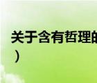 關(guān)于含有哲理的詩有哪些（含有哲理的古詩句）