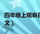 四年級(jí)上觀察日記作文（四年級(jí)觀察日記的作文）