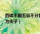 四體不勤五谷不分孰為夫子的解釋（四體不勤 五谷不分 孰為夫子）