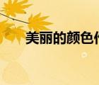 美麗的顏色作文600字（美麗的顏色）