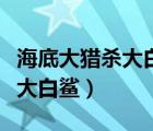 海底大獵殺大白鯊皮膚（海底大獵殺怎么解鎖大白鯊）