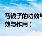 馬錢子的功效與作用及毒副作用（馬錢子的功效與作用）