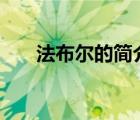 法布爾的簡介100字（法布爾的簡介）