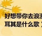 好想帶你去浪漫的土耳其是什么歌（浪漫的土耳其是什么歌）