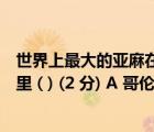 世界上最大的亞麻在哪個(gè)國(guó)家（世界上最大的亞麻產(chǎn)地在哪里 ( ) (2 分) A 哥倫比亞B 墨西哥C）