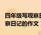 四年級寫觀察日記的作文350字（四年級寫觀察日記的作文）