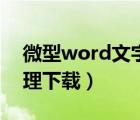 微型word文字處理軟件（微型word文字處理下載）