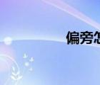 偏旁怎么打出來(lái)（偏旁）