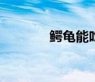 鱷龜能吃熟肉嗎（鱷龜能吃）