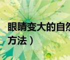 眼睛變大的自然方法小妙招（眼睛變大的自然方法）