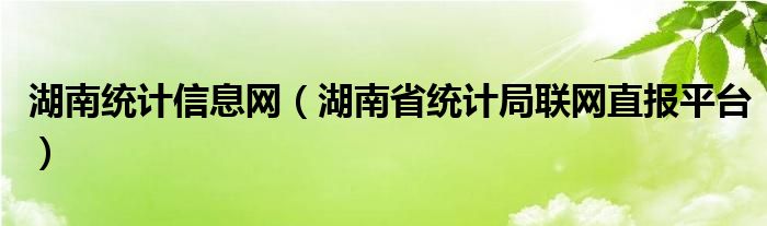 湖南統(tǒng)計(jì)信息網(wǎng)（湖南省統(tǒng)計(jì)局聯(lián)網(wǎng)直報(bào)平臺）