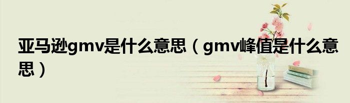 亞馬遜gmv是什么意思（gmv峰值是什么意思）