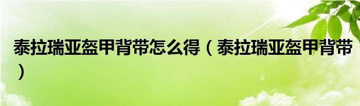泰拉瑞亞盔甲背帶怎么得（泰拉瑞亞盔甲背帶）
