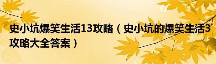 史小坑爆笑生活13攻略（史小坑的爆笑生活3攻略大全答案）
