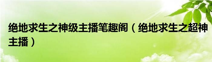 絕地求生之神級(jí)主播筆趣閣（絕地求生之超神主播）
