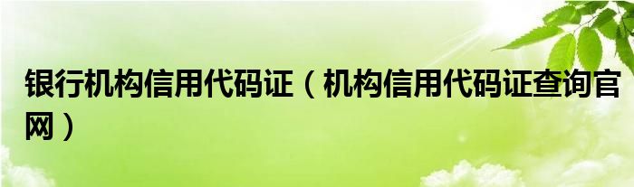 銀行機(jī)構(gòu)信用代碼證（機(jī)構(gòu)信用代碼證查詢官網(wǎng)）