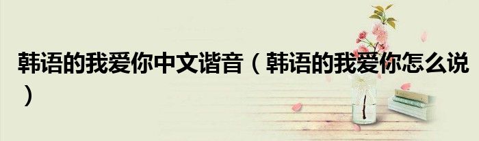 韓語的我愛你中文諧音（韓語的我愛你怎么說）
