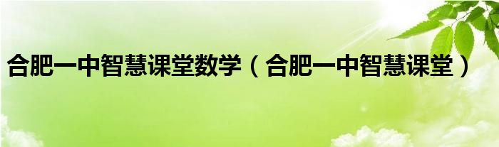 合肥一中智慧課堂數(shù)學（合肥一中智慧課堂）