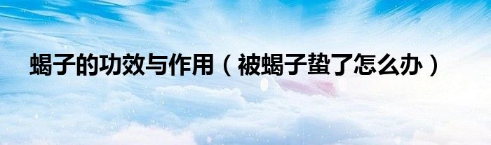 蝎子的功效與作用（被蝎子蟄了怎么辦）