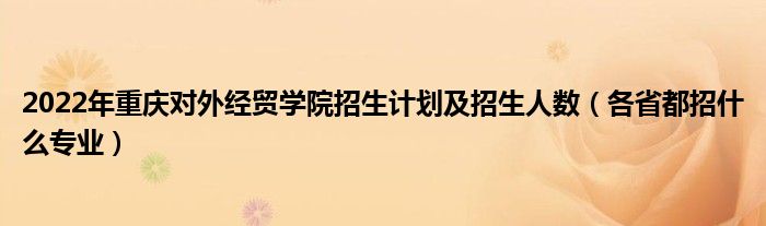 2022年重慶對外經(jīng)貿(mào)學(xué)院招生計劃及招生人數(shù)（各省都招什么專業(yè)）