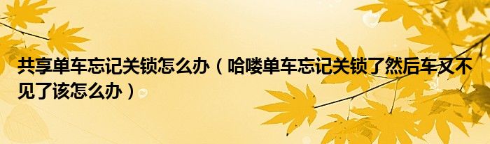 共享單車忘記關鎖怎么辦（哈嘍單車忘記關鎖了然后車又不見了該怎么辦）