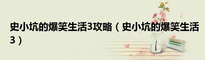 史小坑的爆笑生活3攻略（史小坑的爆笑生活3）
