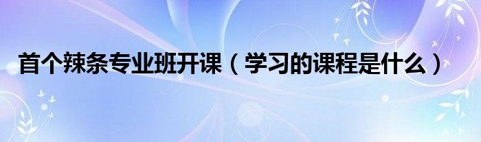 首個(gè)辣條專業(yè)班開課（學(xué)習(xí)的課程是什么）