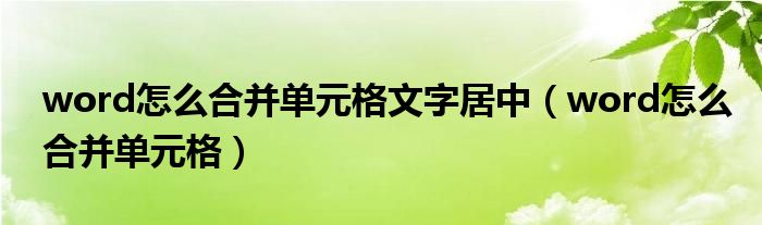 word怎么合并單元格文字居中（word怎么合并單元格）
