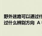 野外迷路可以通過什么來辨別方向（野外迷路后 我們可以通過什么辨別方向  A 根據(jù)樹木的年輪）