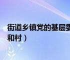 街道鄉(xiāng)鎮(zhèn)黨的基層委員會和社區(qū)（街道鄉(xiāng)鎮(zhèn)黨的基層委員會和村）