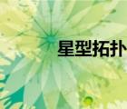 星型拓撲環(huán)形拓撲（星型拓撲）