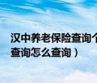 漢中養(yǎng)老保險查詢個人交費賬戶（漢中市養(yǎng)老保險個人賬戶查詢怎么查詢）