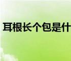 耳根長個包是什么情況（耳根長個包是什么）
